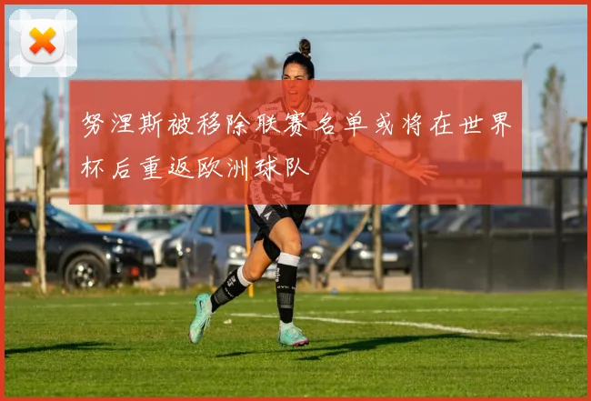 努涅斯被移除联赛名单或将在世界杯后重返欧洲球队