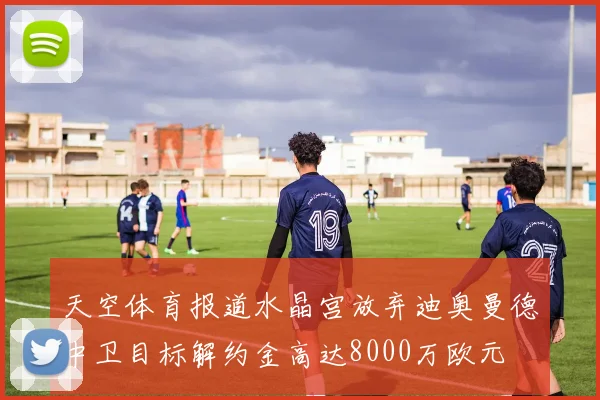 天空体育报道水晶宫放弃迪奥曼德中卫目标解约金高达8000万欧元